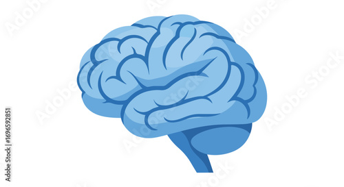 Stylized human brain illustration in serene blue hues representing intellect, learning, and neurological health on a blank backdrop enhancing focus