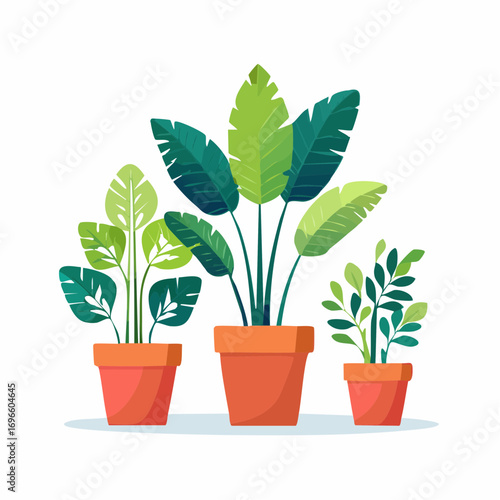 Three Potted Plants with Stylized Green Foliage and Orange Pots in a Row