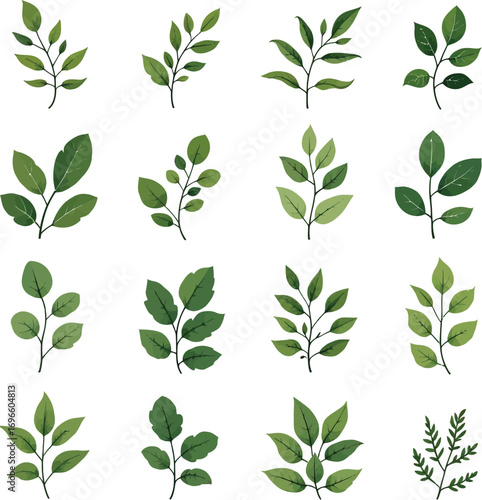 Set of 16 green leaf illustrations, diverse botanical shapes and branches in natural style for design and decoration