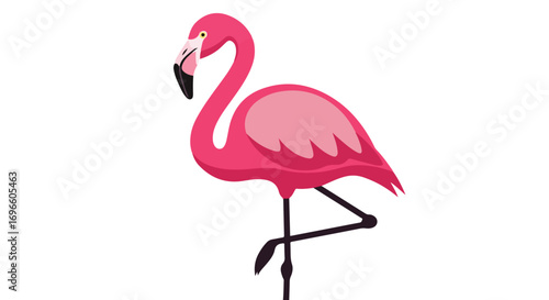 Pink Flamingo Standing on One Leg Isolated on a White Background, Graphic Illustration, Isolated Tropical Bird, Vector Design.