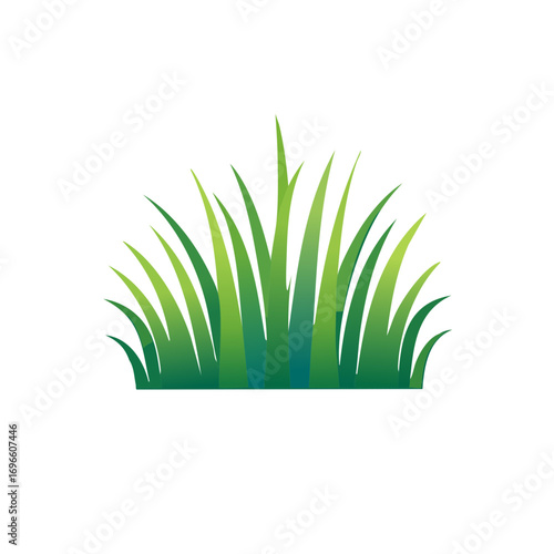 Green grass blades illustration graphic design element isolated