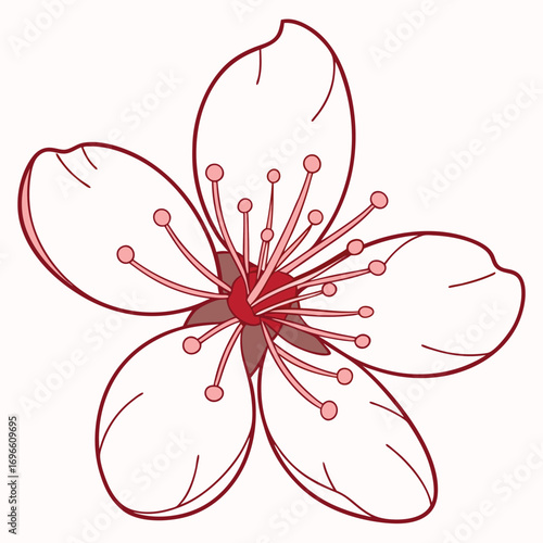 Vector art of a delicate cherry blossom flower illustration, isolated on a, showcasing its intricate details and soft pink hues
