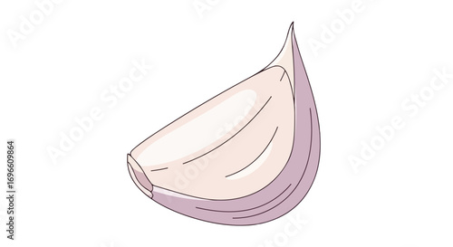 Illustrative garlic clove artwork showcases minimalist design on a clean white backdrop capturing culinary ingredient freshness