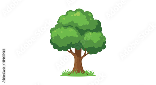 illustration of a lush green tree with dense leafy canopy and sturdy brown trunk against a plain white background suitable for educational or