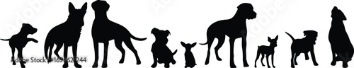 Dog silhouette collection, various breeds, standing pose, pet icon, black vector, animal diversity, canine shape, sitting dog, walking posture, illustration set