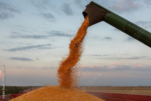 Photos Combine transferring corn after harvest