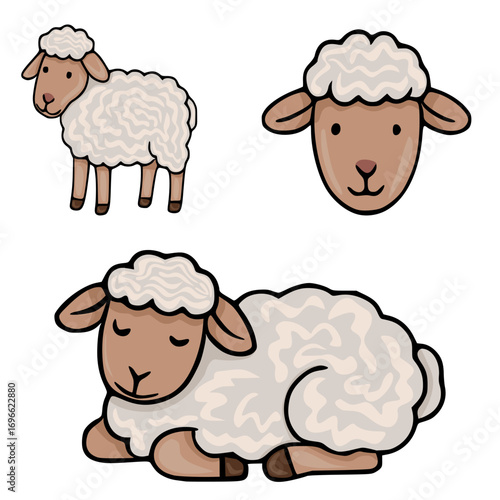 Adorable vector illustration featuring three variations of a cute cartoon sheep: standing, head-only, and sleeping, showcasing a unique wavy wool texture and soft color palette.