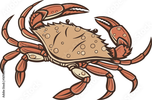 Realistic Crab Illustration Design. Detailed Crab Marine Life Artwork. Natural Crab Creative Illustration. Ocean Inspired Realistic Crab Design. Crab Illustration for Coastal Artwork. Realistic Crab
