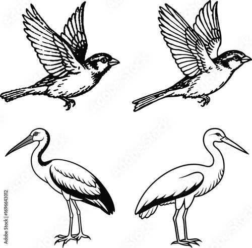 Set of hand drawn birds ,Tropical Birds ,Democratic Republic of the Congo and Birds
Colorful collection of abstract birds


