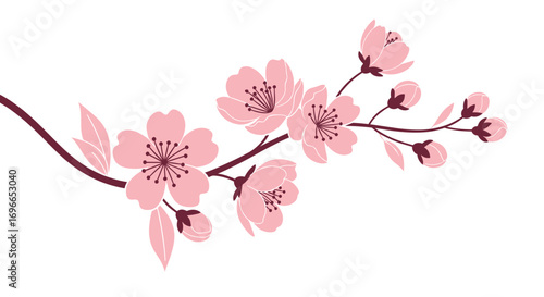 Beautiful pink cherry blossom branch with delicate flowers and buds in spring