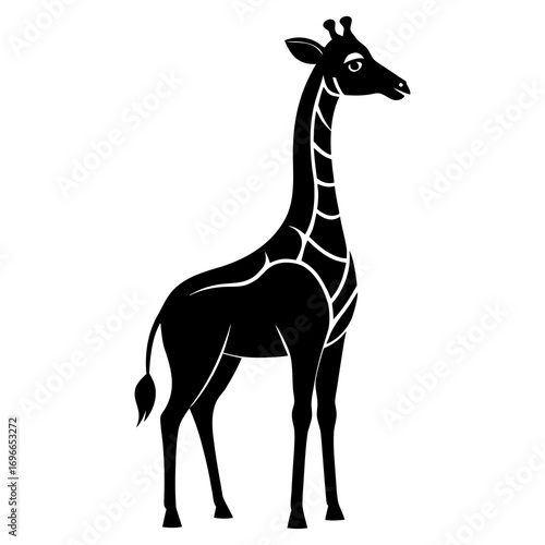 giraffe vector illustration