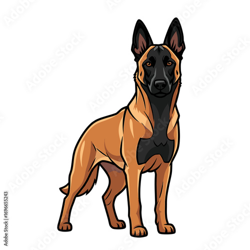 A stylized illustration of a Belgian Malinois dog standing alert with its ears erect and a black mask on its face.