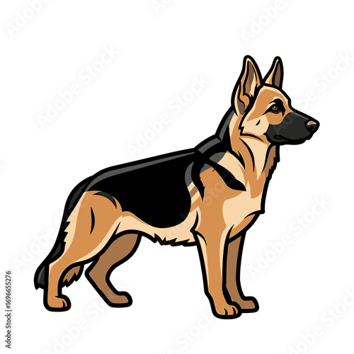 Illustration of a German Shepherd dog standing in profile, showcasing its distinctive features and markings.