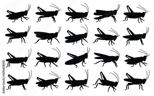 Vector art of diverse grasshopper silhouettes, presenting a range of positions and perspectives of these fascinating creatures, perfect for creative endeavors