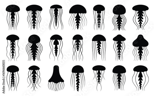 Vector art of a captivating collection of jellyfish silhouettes, each showcasing unique shapes and sizes, these minimalist designs capture the ethereal beauty