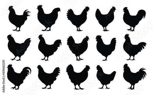 Vector art of set of chicken silhouette collection of farm bird in various poses vector illustration of poultry animal black and white graphic design element