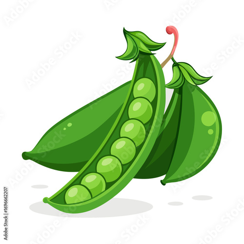 green pea pod