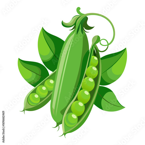 pea pod with peas