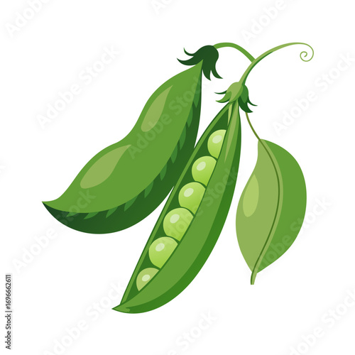 green peas on white background