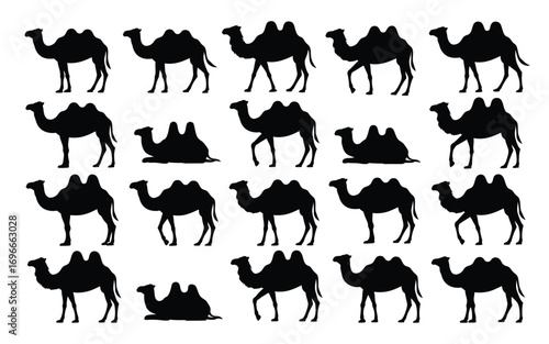 Vector art of a captivating array of camel silhouettes, showcasing the majestic beauty and versatility of these desert creatures in various poses and forms