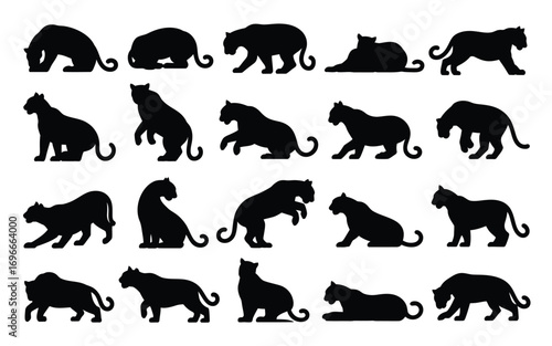 Vector art of collection of jaguar silhouettes featuring various poses and actions such as walking, running, sitting, and lying down, creating a versatile set for design projects