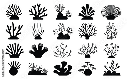 Vector art of collection of diverse coral silhouettes, showcasing the intricate forms and patterns found in marine ecosystems, ideal for illustrating underwater life