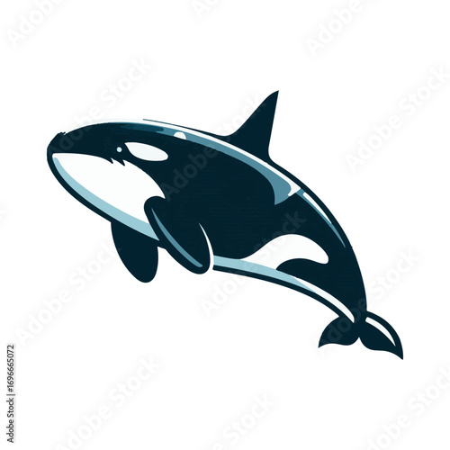 orca whale illustration design