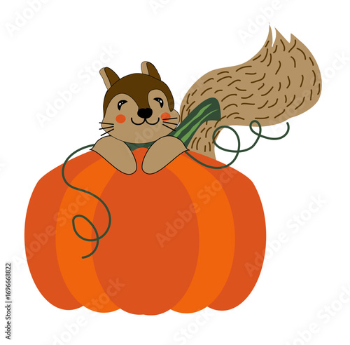 Grazioso scoiattolo su una zucca, illustrazione vettoriale isolata su sfondo bianco, cartolina , decorazione