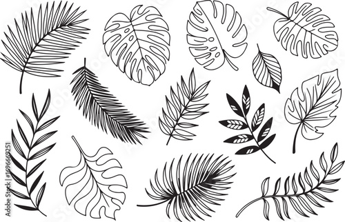 tropical foliage line art vector set featuring monstera palm fern and diverse botanical leaves for creatives