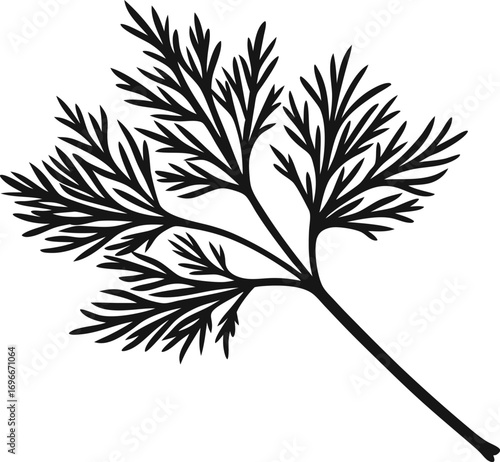  a sprig of dill silhouette vector