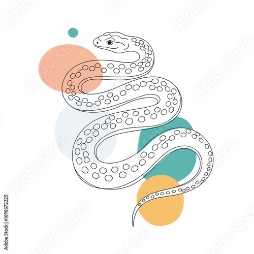 Abstract illustration of a stylized serpent coiled around organic shapes in a minimalist design