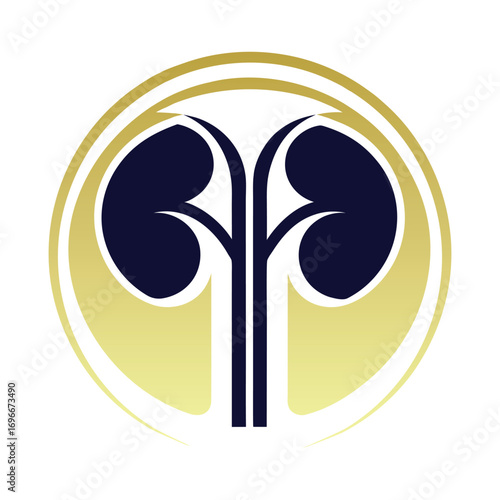 Dark blue kidneys with gold and white circular emblem organ medical