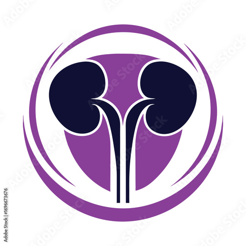 Stylized dark blue kidneys with purple circular abstract elements organ medical