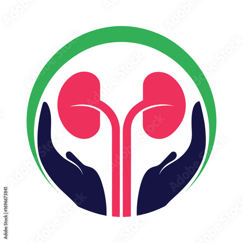 Two pink kidneys protected by dark blue hands within a green circle organ organs