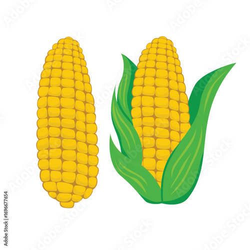 raw corn cartoon design. agriculture harvest concept.