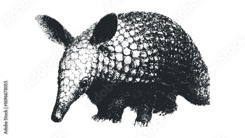 Armadillo creature isolated on transparent background, monochrome texture. Vector hand drawn illustration