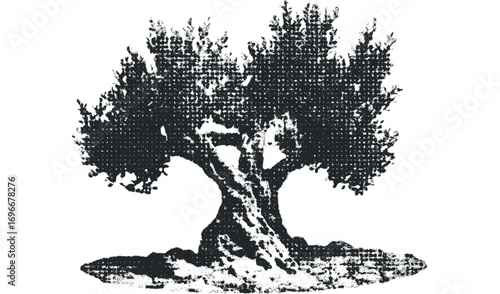 Textured Ancient Olive Tree Isolated on White. Vector hand drawn illustration