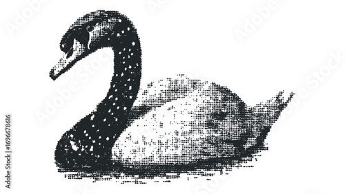 Halftone texture swan silhouette on transparent. Vector hand drawn illustration