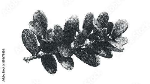 Halftone textured sprig with oval leaves and branch on white. Vector hand drawn illustration