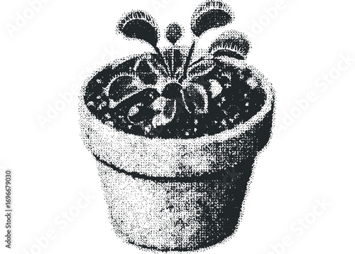 Potted Venus Flytrap plant rendered in stippling on a transparent background. Vector hand drawn illustration