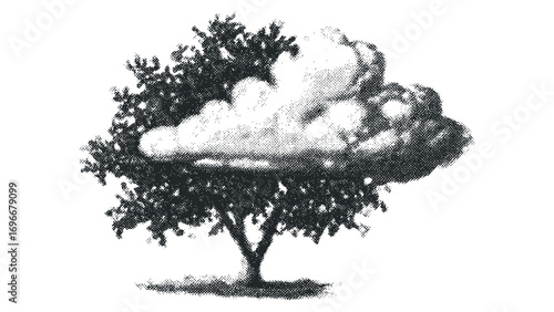 Stippled cloud formation superimposed over lush foliage of a deciduous tree on a. Vector hand drawn illustration