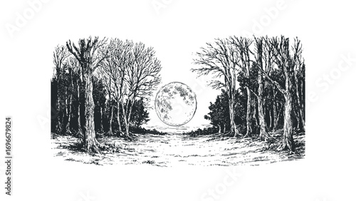 Full moon over barren trees in a forest clearing line drawing. Vector hand drawn illustration