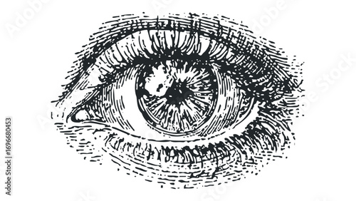 Antique etching of a human eye on a transparent background. Vector hand drawn illustration