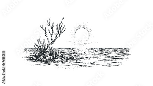 Sketch of a solitary tree on rocky island with textured water and circular sun. Vector hand drawn illustration