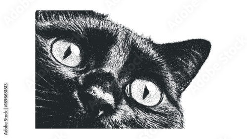 Black Cat Close Up Eyes Halftone Stippled Texture. Vector hand drawn illustration