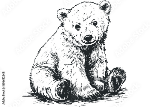 Cute Bear Cub Sitting Image. Vector hand drawn illustration