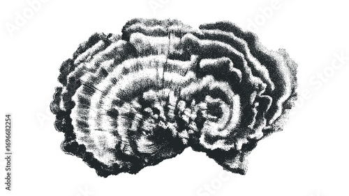 Fungus organism shape halftoned graphic with wavy lines. Vector hand drawn illustration