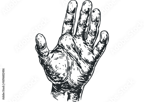 Detailed Hand Gesture Isolated on White. Vector hand drawn illustration