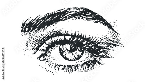 Textured Eye with Eyelashes and Eyebrow Transparent. Vector hand drawn illustration