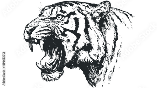 Fierce Tiger Head Roaring Aggressively. Vector hand drawn illustration